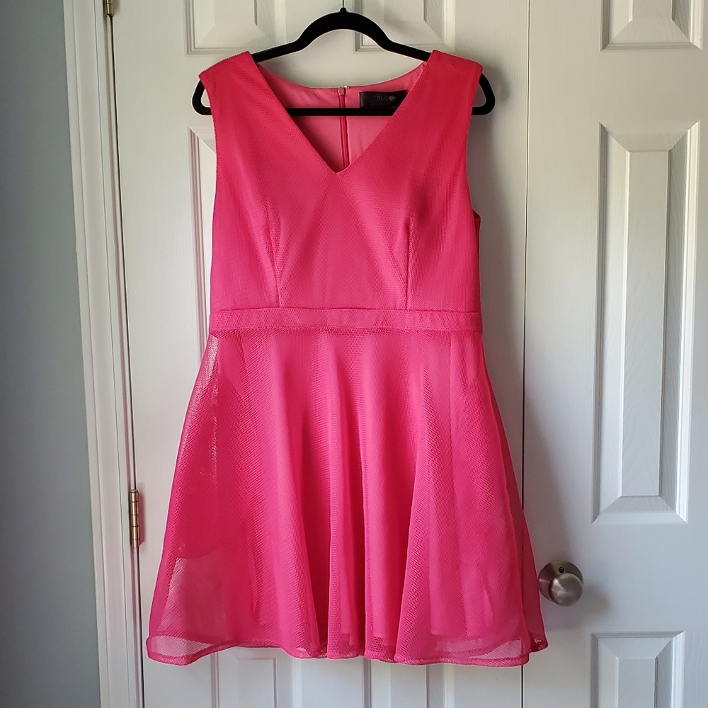 Lotus Dress Pink Mesh Fit & Flare